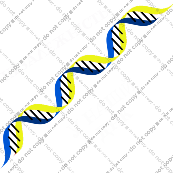 Незалежність, В Нашому Днк