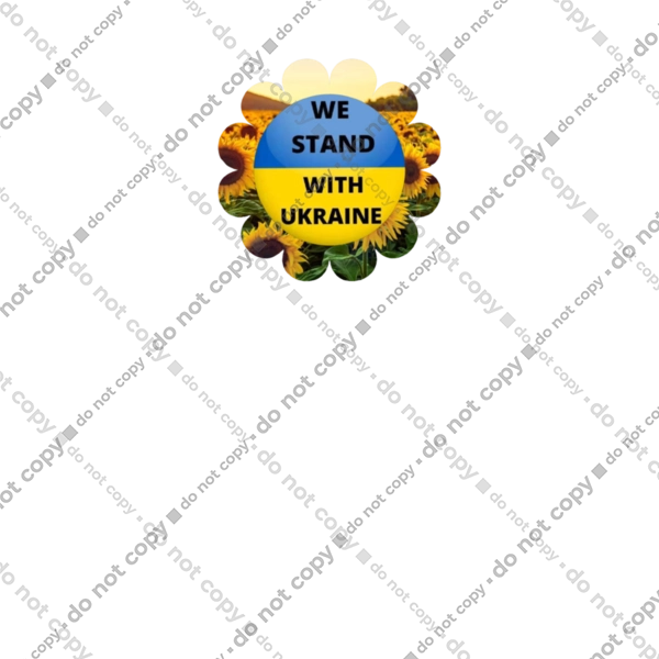 Ми з україною