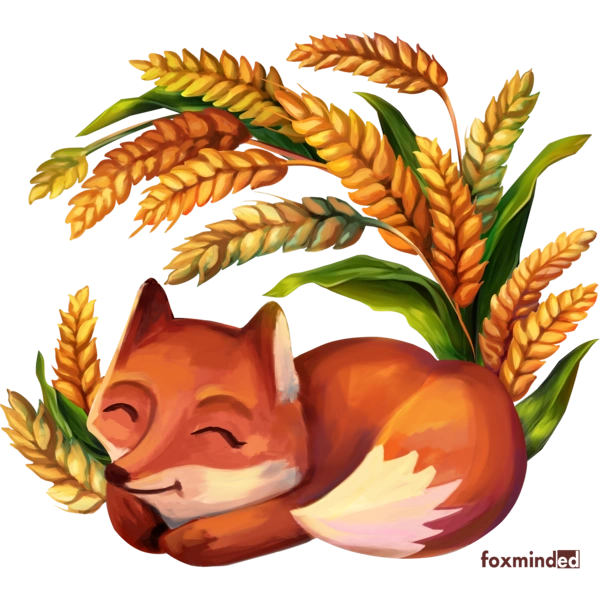 Лисиця в пшениці