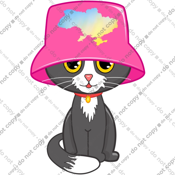 Котик з картою україни