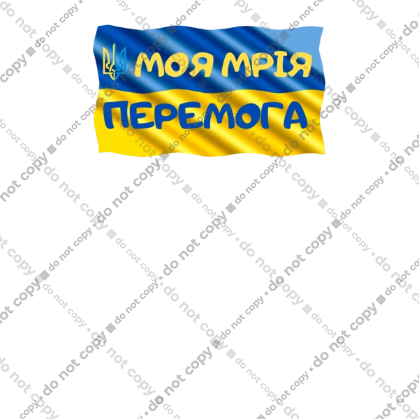 Моя мрія перемога. стяг України. герб України
