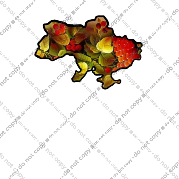 Справжня Україна