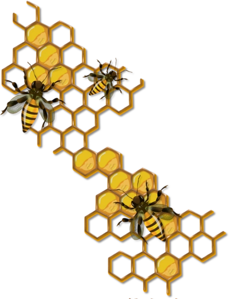 Бджоли На Сотих