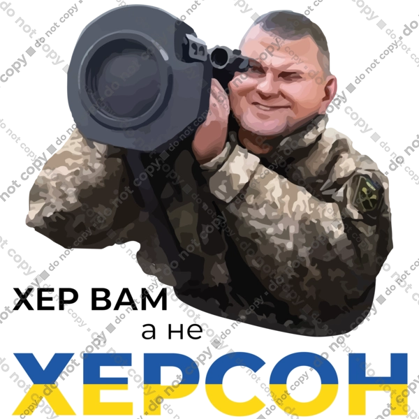 Залужний про Херсон