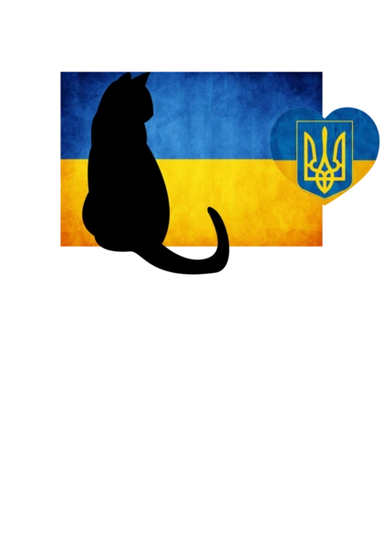 Український кіт