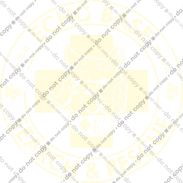 Echo Base Search & Rescue