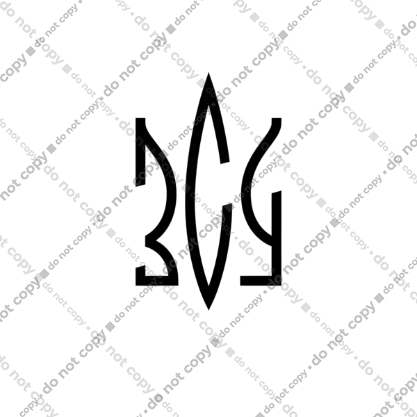 Armed Forces of Ukraine (AFU)