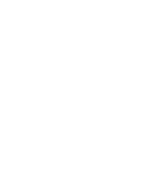 Skeleton with pistols
