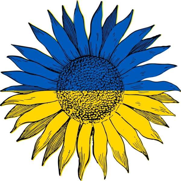 Український соняшник