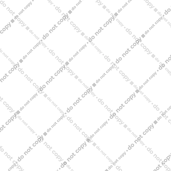 Програміст