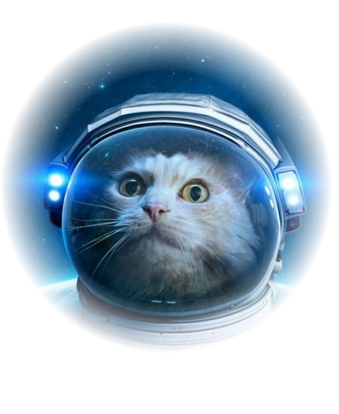 Кіт астронавт НАСА