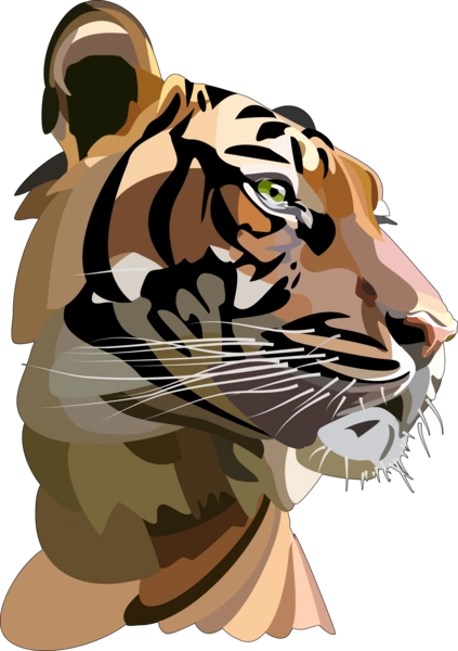 Профіль тигра