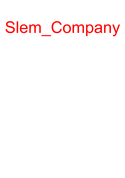 Slem Company