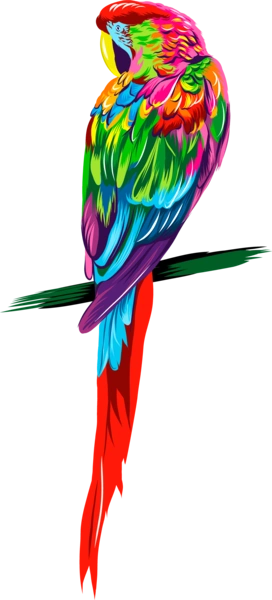Барвистий попугай