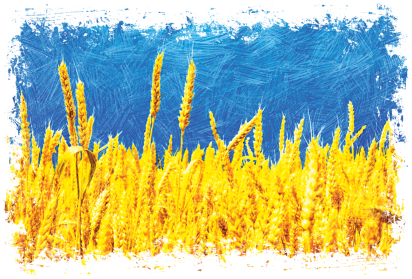 Прапор України пшеничне поле