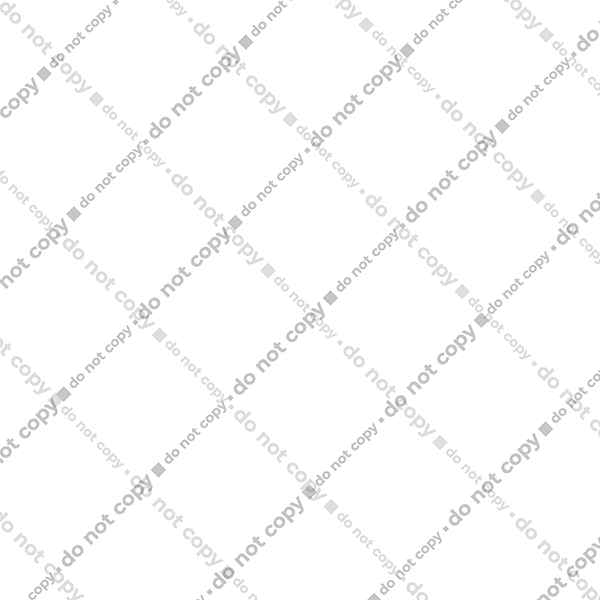 World Flat