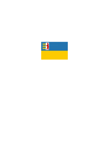 Прапор Закарпатської області