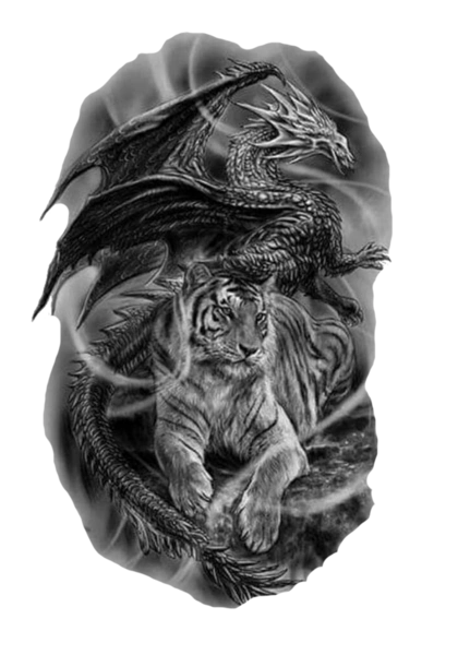 Дракон із тигром