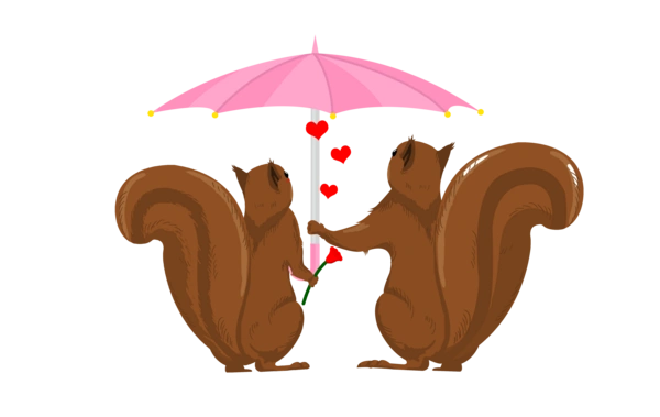 Білки під парасолькою, кохання