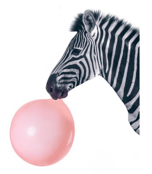 Зебра з жувальною гумкою