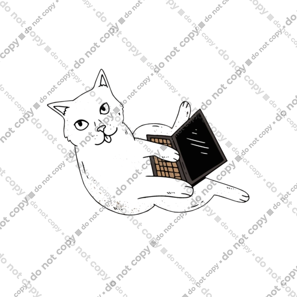 Кіт програміст