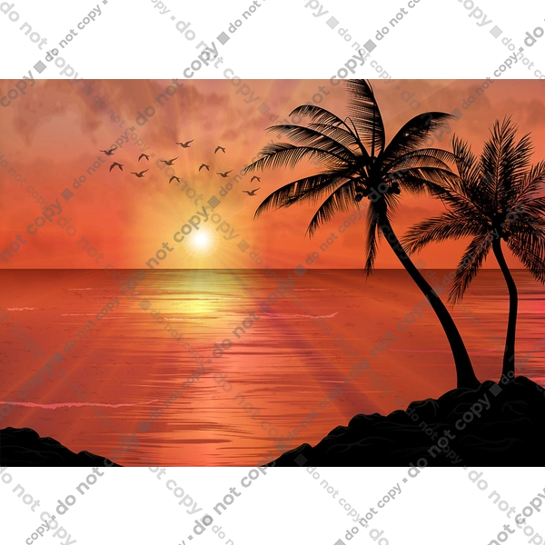 Захід Пальми Море