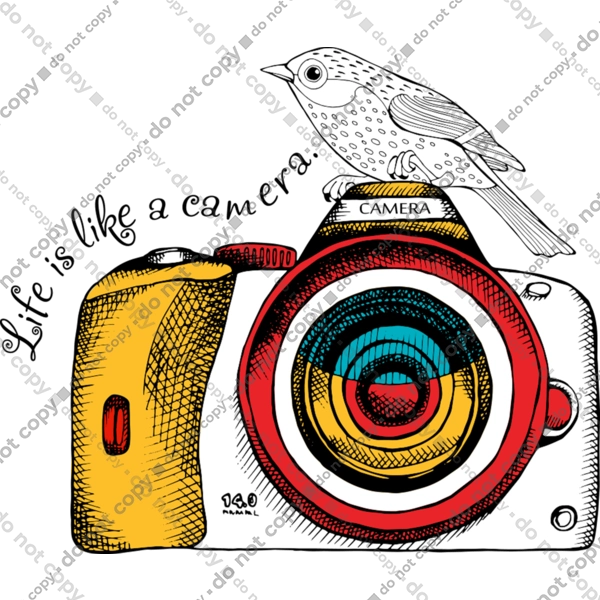 Фотоапарат І Пташка