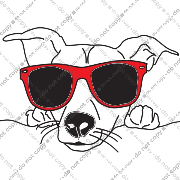 Собака Визирає