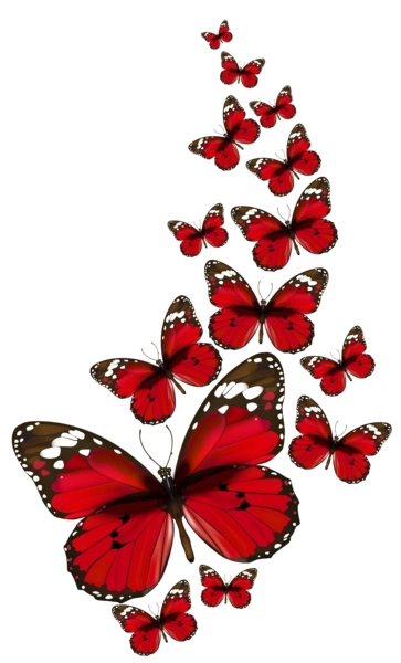 Червоні Метелики Відлітають