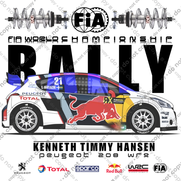 Red Bull Rally