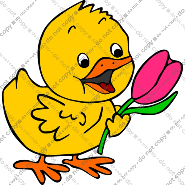 Chicken With A Tulip