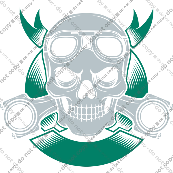 череп мотолюбитель