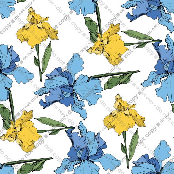 Квіти Іриси