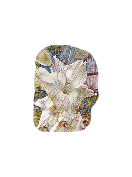 Біла лілія акварель
