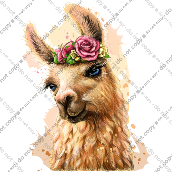 Лама Портрет