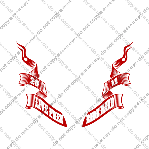 череп гонщик