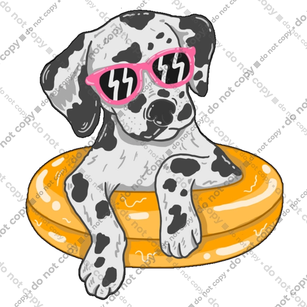 Далматинець Плаває У Колі