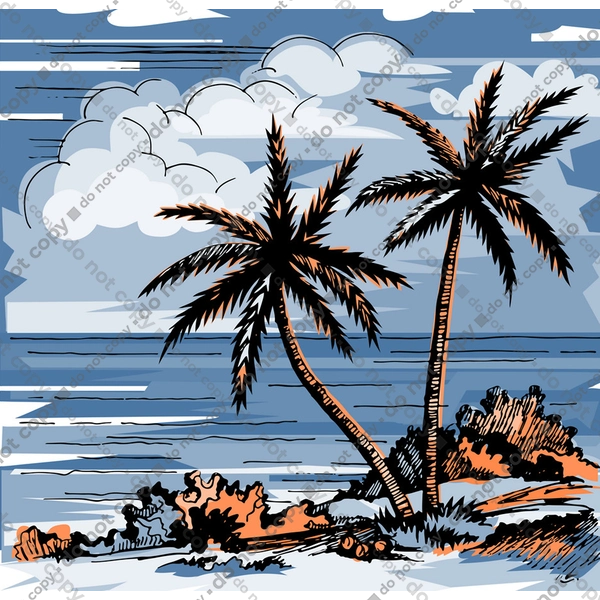 Пальми І Небо