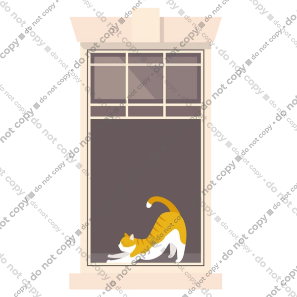 Кіт В Вікні