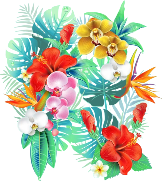 Тропічні квіти