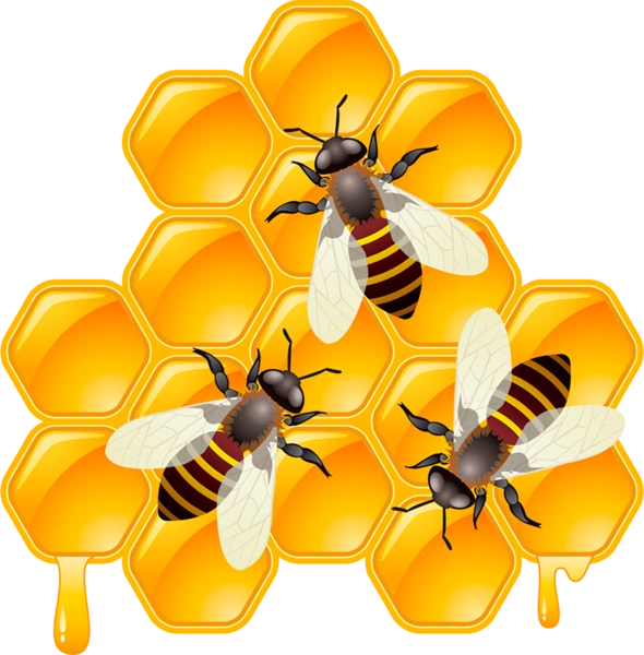 Бджоли І Соті