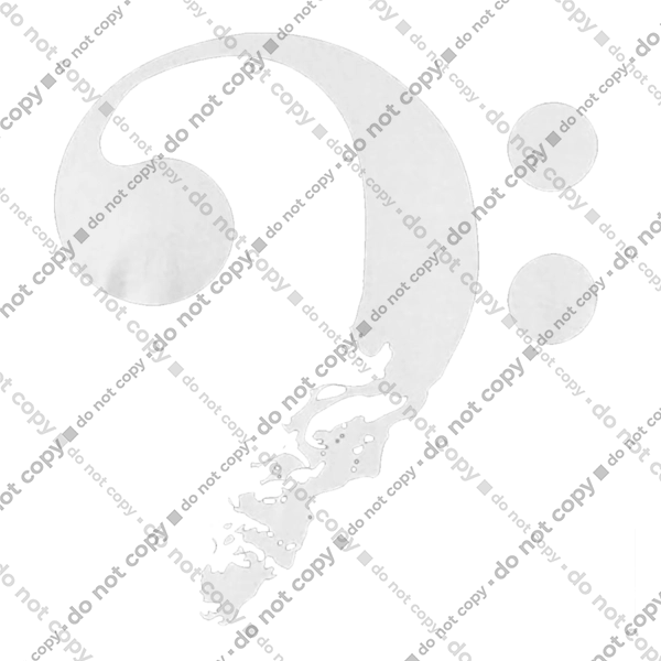 Череп (у чому сенс життя)