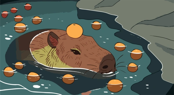 Капібара купається з апельсинами