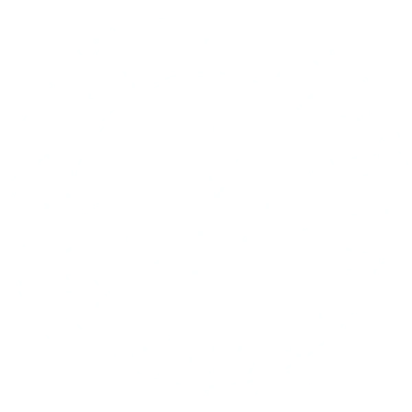Руни
