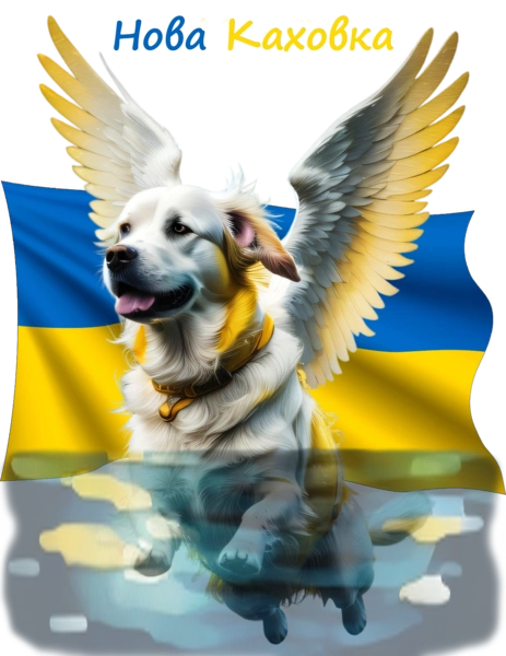 Собака ангел Нова Каховка