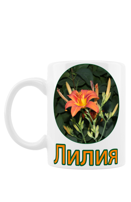 Чашка з принтом "Лілія Квітка Та Ім'я". Дівчинка, жінка, ім`я, квіти, квітка, коло, лилейник, лілія, літо, помаранчевий, російське. ART принт на футболках