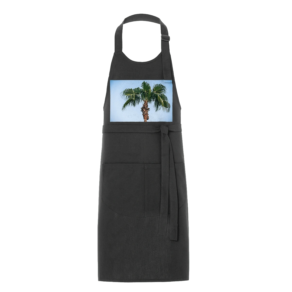 Пальма на тлі неба