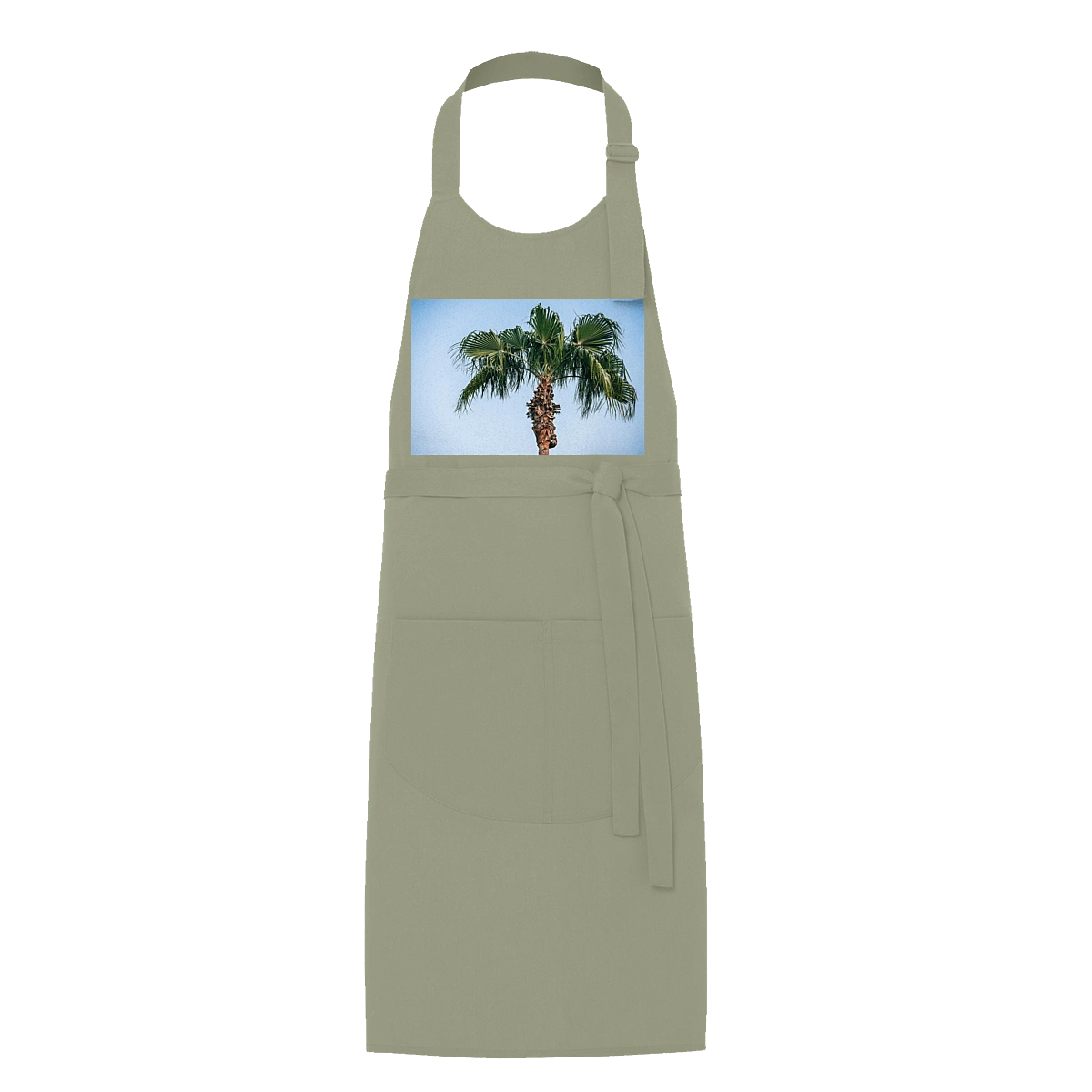 Пальма на фоне неба