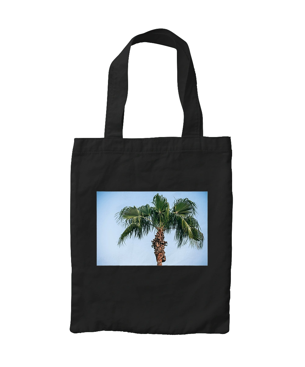 Palm tree against the sky