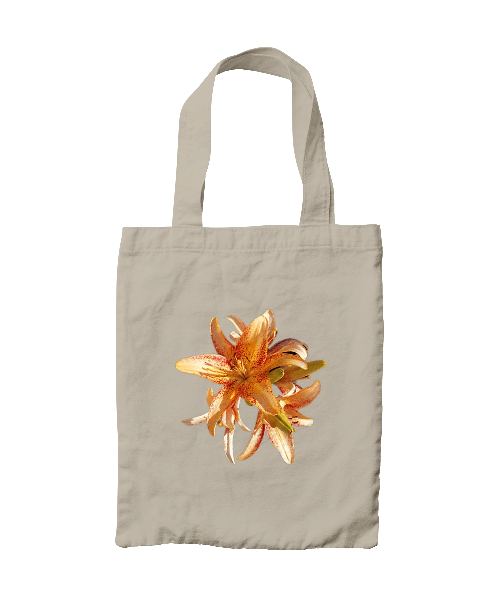 Orange lily